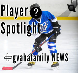 want to be featured in GVAHA FAMILY NEWSLETTER?