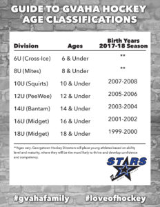 youth hockey age classification