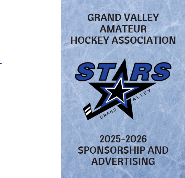 Sponsorship 25-26 Screenshot